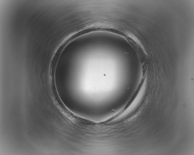 X0000070190981200606091528