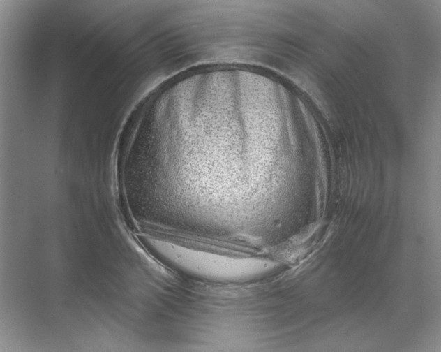 X0000070190982200606091528