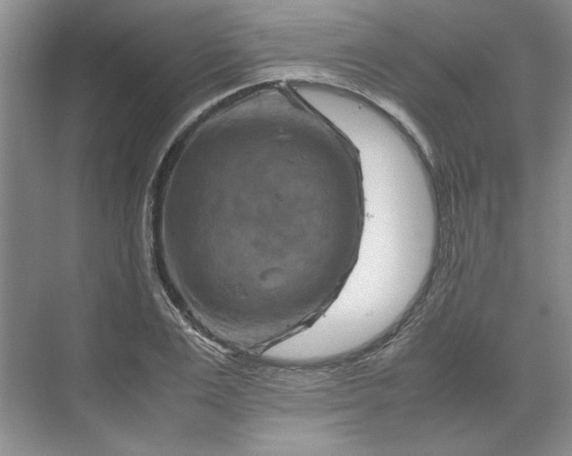 X0000070190983200606091528