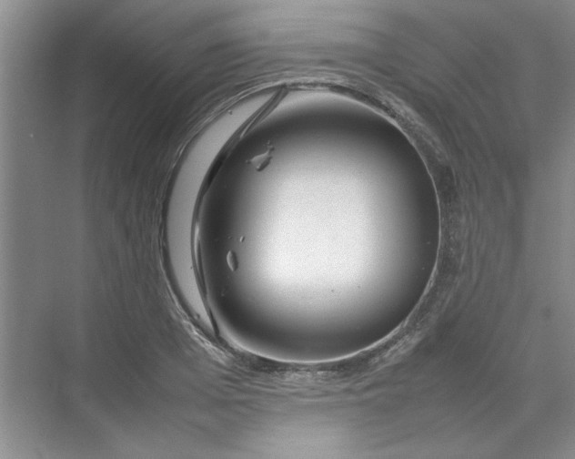 X0000070190985200606091528