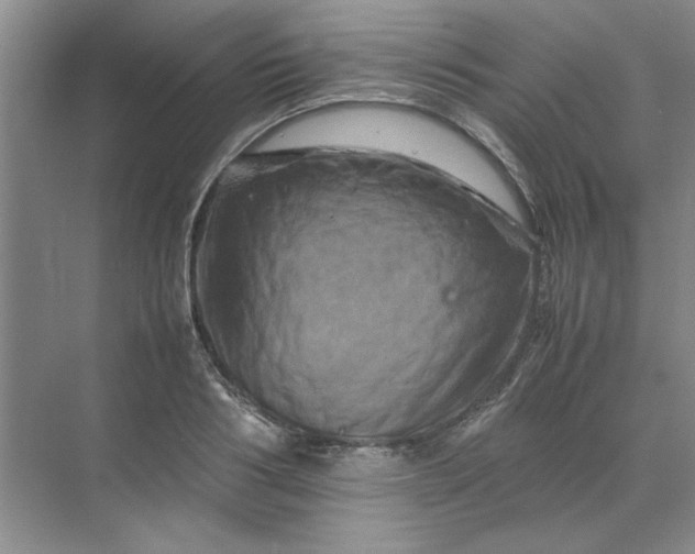 X0000070190986200606091528