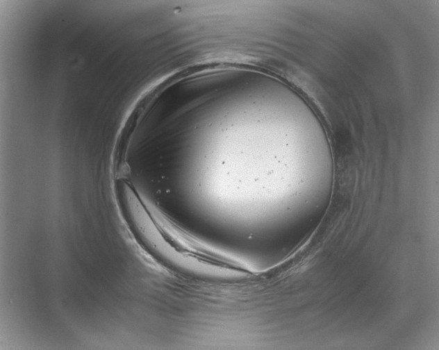 X0000070190987200606091528