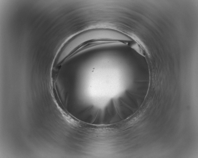 X0000070190988200606091528