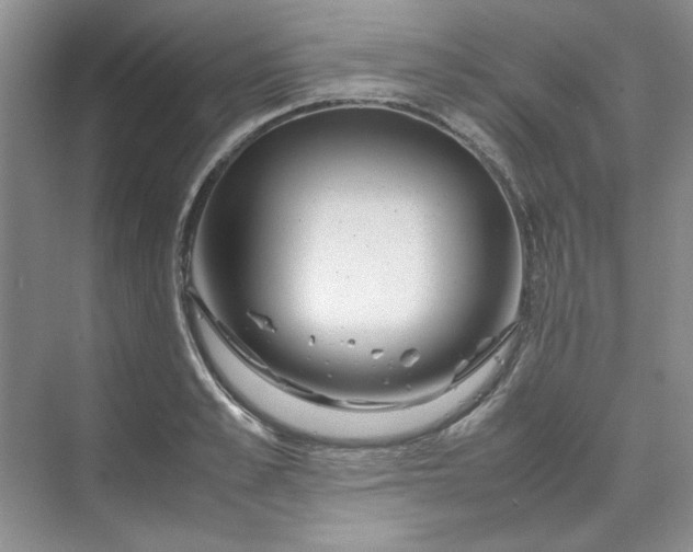 X0000070190989200606091528