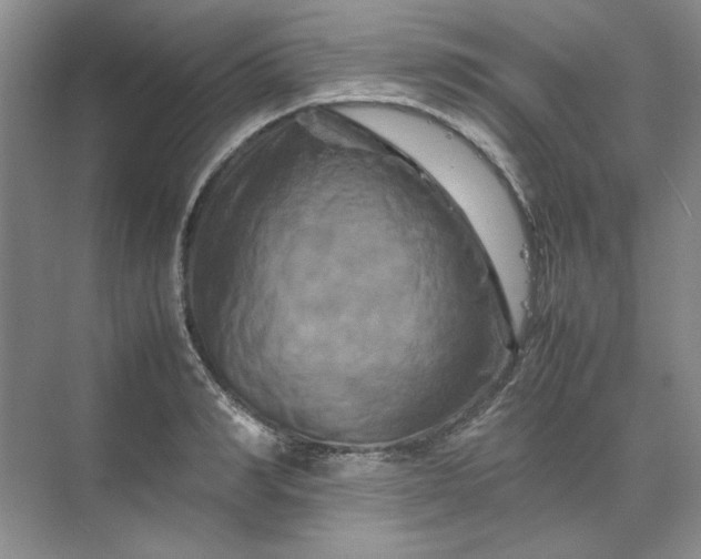 X0000070190990200606091528