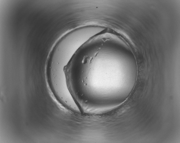 X0000070190991200606091528