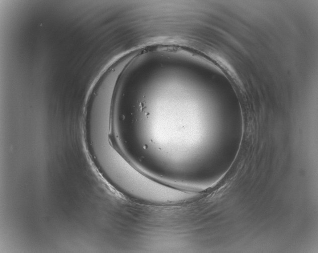 X0000070190992200606091528