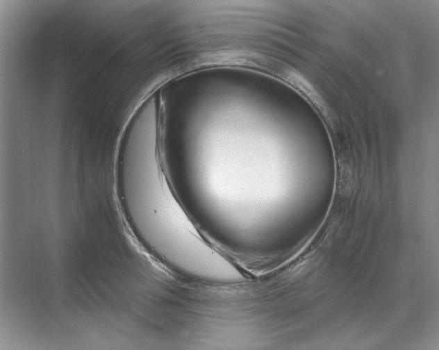 X0000070190994200606091528