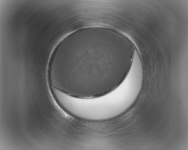 X0000070190995200606091528