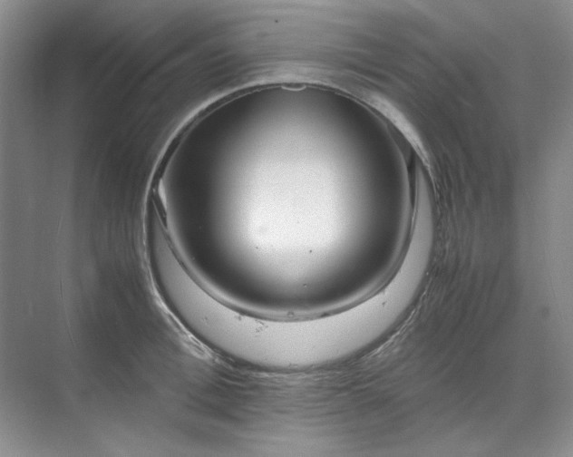 X0000070190996200606091528