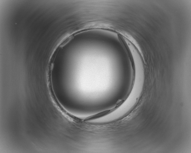 X0000070190997200606091528