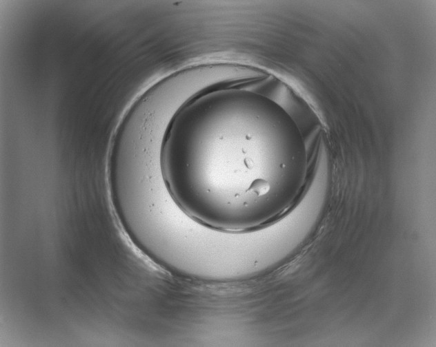 X0000070190998200606091528