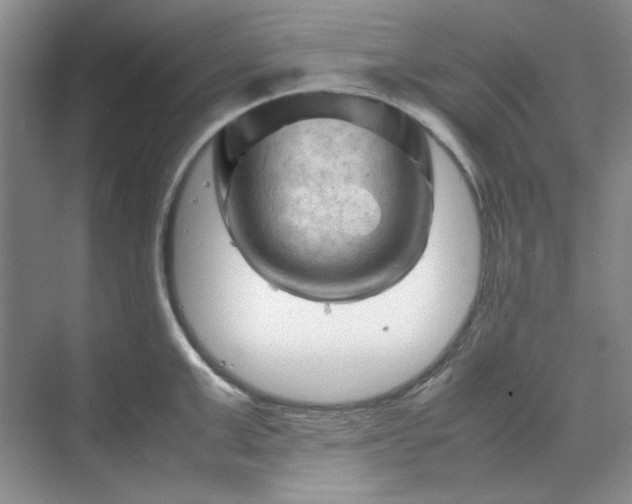 X0000070190999200606091528