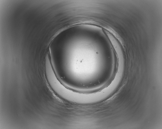 X0000070191001200606091528