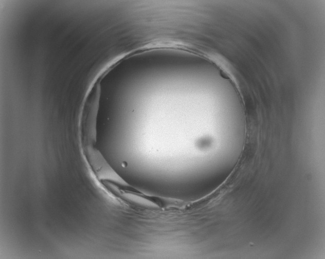 X0000070191003200606091528