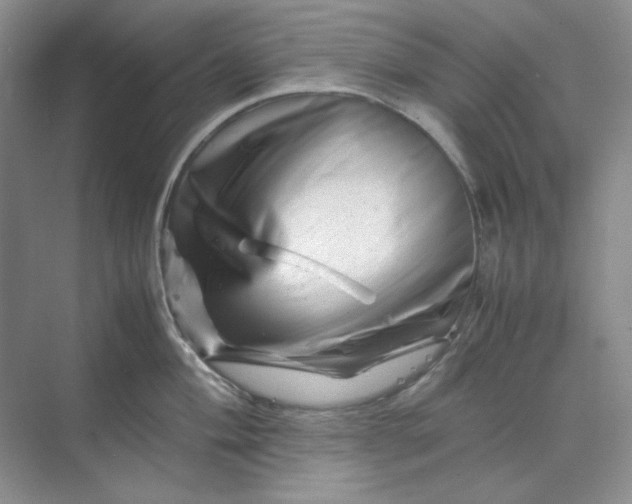 X0000070191004200606091528