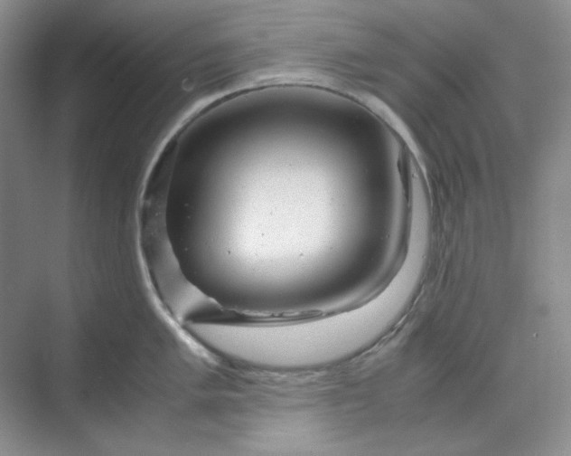 X0000070191005200606091528