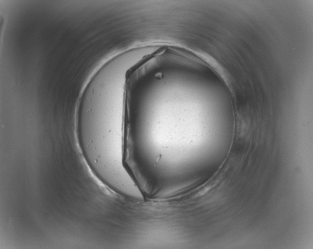 X0000070191006200606091528