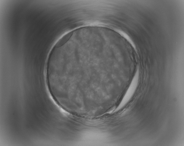 X0000070191007200606091528