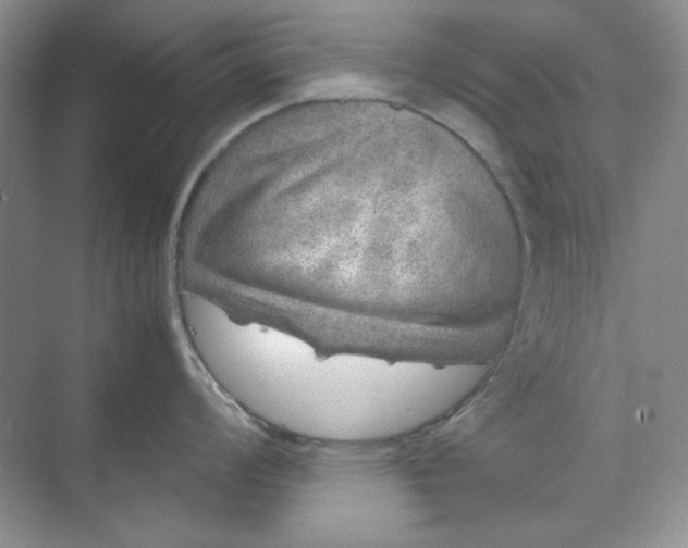 X0000070191008200606091527