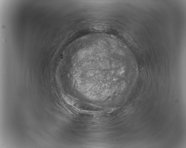 X0000070191009200606091527