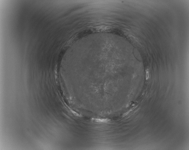 X0000070191011200606091527