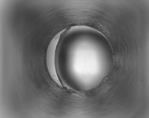 X0000070191012200606091527