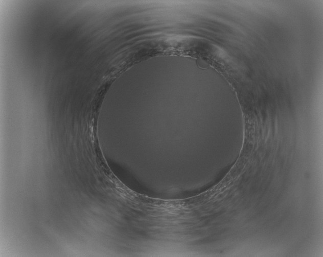 X0000070191013200606091527