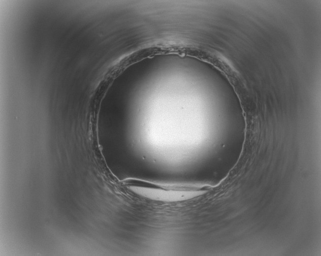 X0000070191016200606091527