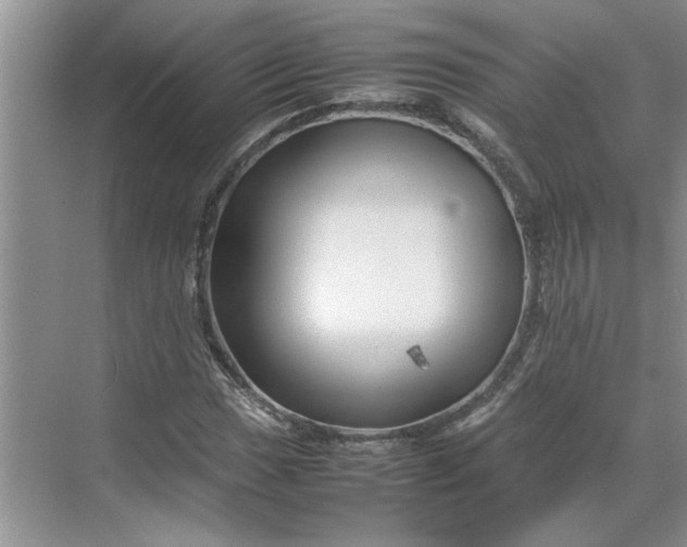 X0000070191017200606091527