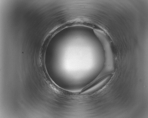 X0000070191018200606091527