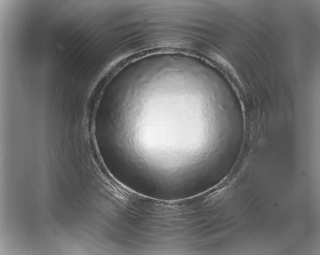 X0000070191019200606091527