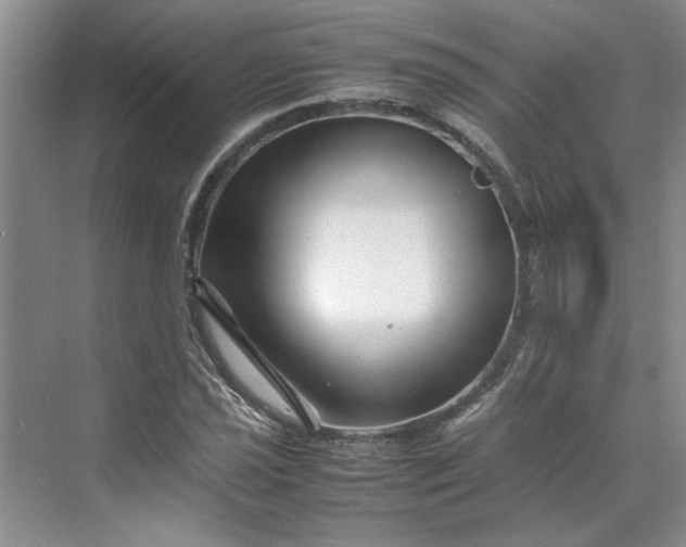 X0000070191021200606091527