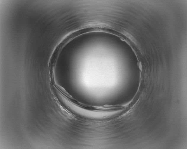 X0000070191022200606091527