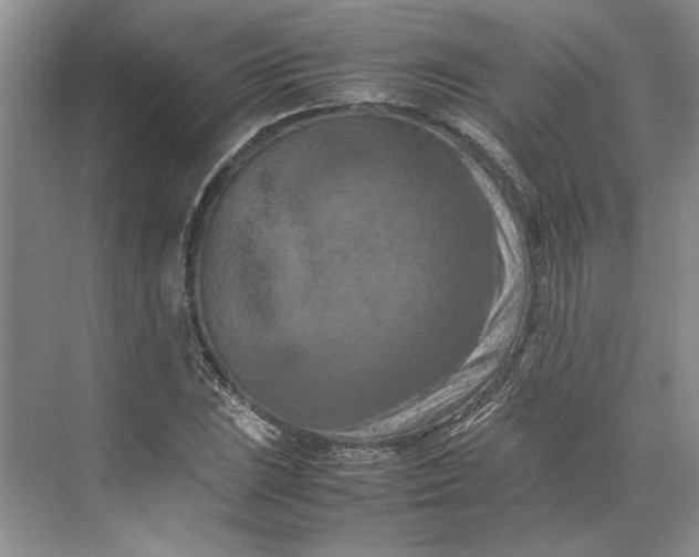 X0000070191023200606091527