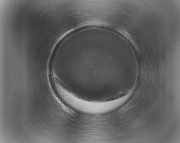 X0000070191024200606091527