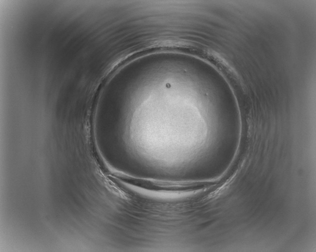 X0000070191025200606091527