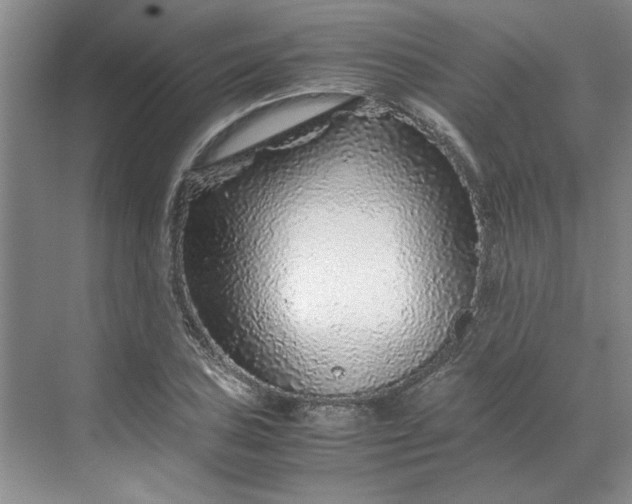 X0000070191027200606091527