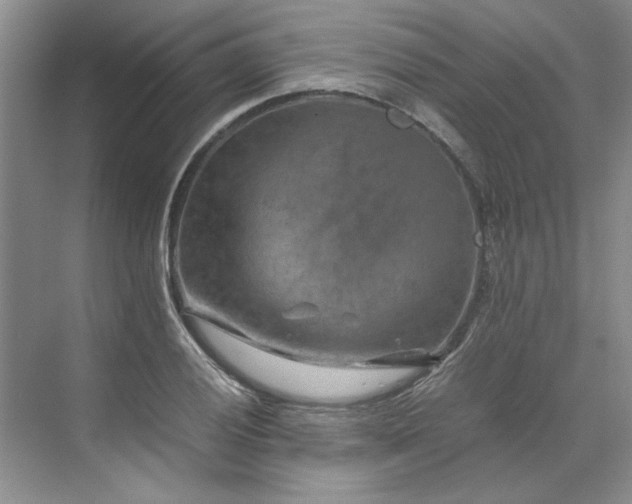 X0000070191028200606091527