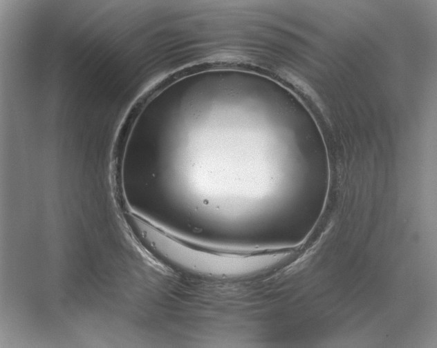 X0000070191029200606091527