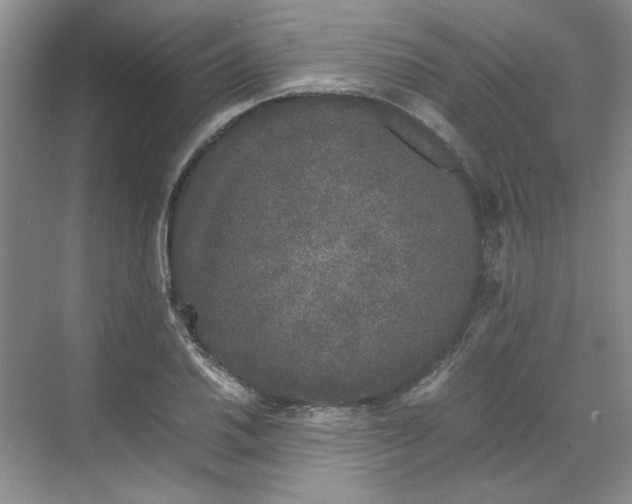 X0000070191030200606091527