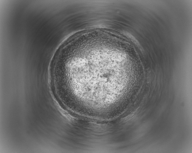 X0000070191031200606091527