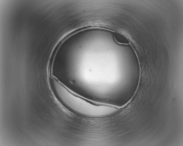 X0000070191032200606091527