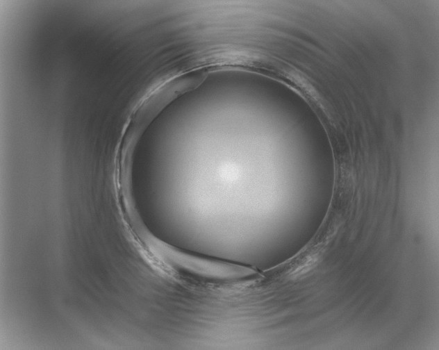 X0000070191034200606091527