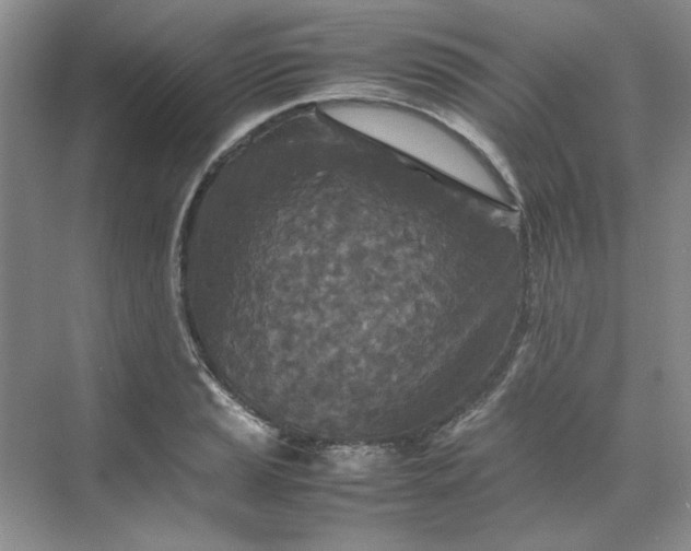 X0000070191037200606091527