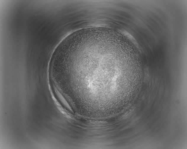 X0000070191039200606091527