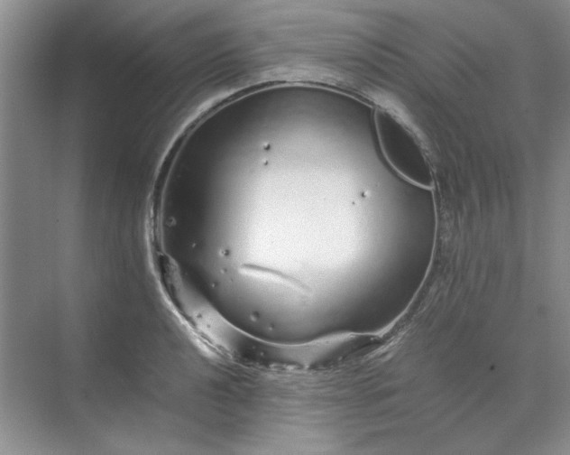 X0000070191040200606091527