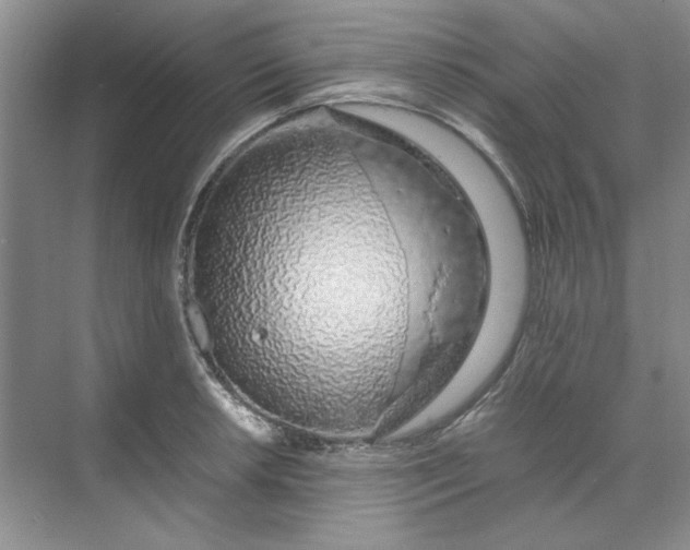 X0000070191042200606091527