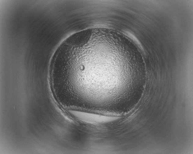 X0000070191043200606091527