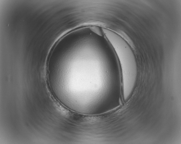 X0000070191044200606091527